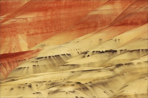 fancyadance:Painted Hills is one of the three units that make up the John Day Fossil Beds National M