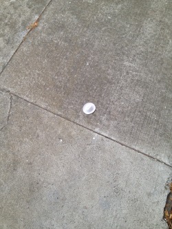 Spacephantom:  Important Finds Outside My Apartment This Morning: One Small Tiny