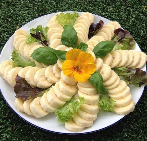Perfect frugivorus snacking