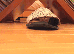reblog-gif:  other funny gifs - http://gifini.com/ 