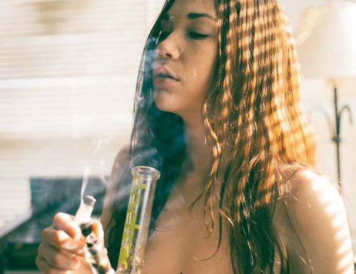 @no.coco in the haze #el3imagery #sonya7 #sonyimages #SonyPhotoGallery #420girls #420 #hydro #weedst