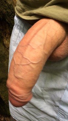 Bite bien veinée / veiny cock