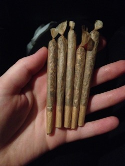 crazy-stoner-adventures:  Roadtrip!