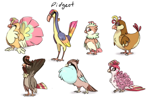 pidgeys are very popular on Alola and have been bred into a number of varieties, form depends on whe