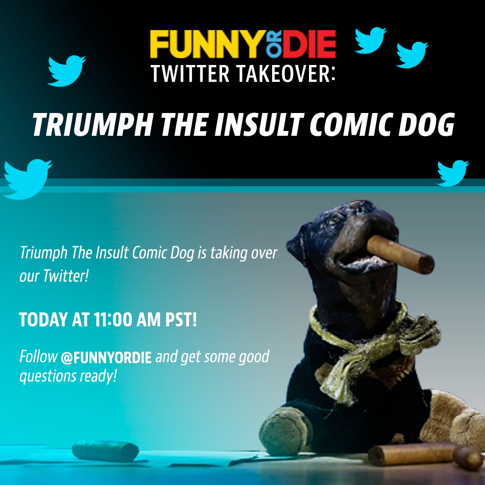 Triumph Twitter TakeoverTriumph, the Insult Comic Dog is taking over our Twitter TODAY at 11 a.m. PST!
Join the fun here.