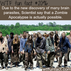 wtf-fun-factss:  Are Zombie Apocalyps possible