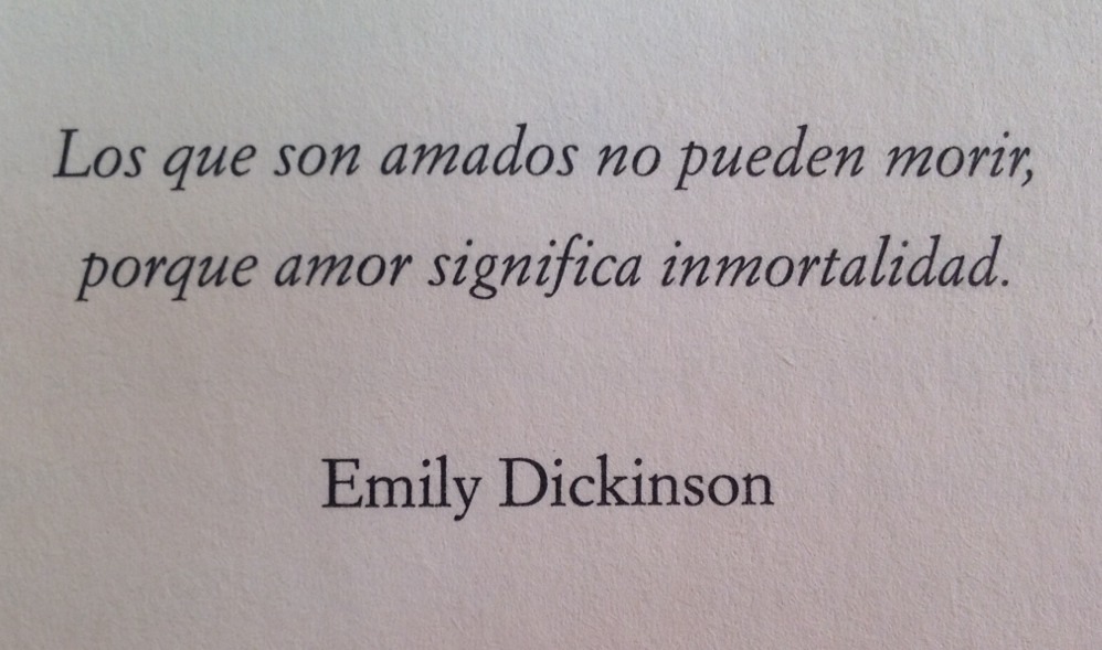 Las noches me saben a ti.