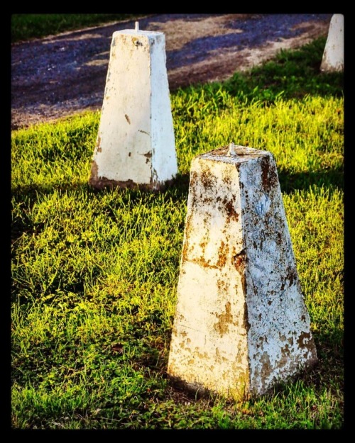 By the Church, Ewell, SI #colorphoto #landscapestudy #goldenhour #smithisland #intentionallyarty #py