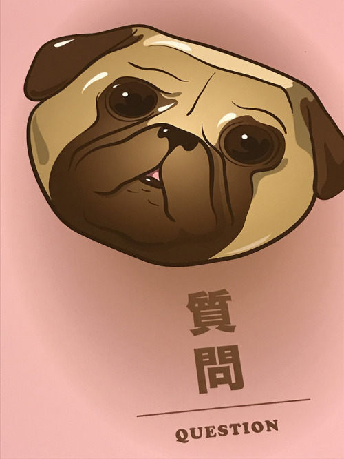 Meet Wonder Pug. This cute lil’ pup is here to stop you in your tracks and ask you, “Wha