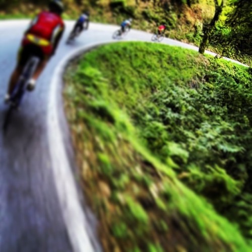 octopushy-threadz: Hi speed bends.. #cycle #cycling #ciclismo #bici #bike #bicycle #grass #grass #r