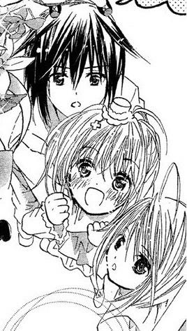 Shugo Chara — This is my favorite part of the manga, the ending....
