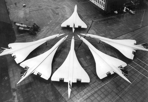 error888:  The entire British Concorde fleet in one picture, January 21, 1986, at London’s Heathrow 