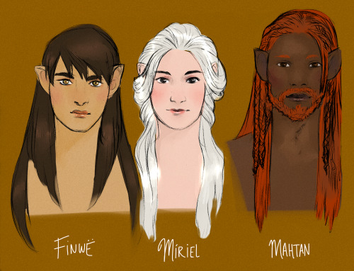 scorpionhoney:Some reference sheets on  how I imagine the 3 elven kindredsThese aren’t all the optio