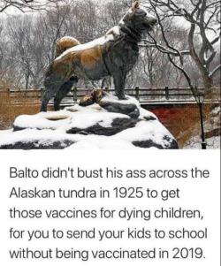 space-buns:  pugbytes:   your-naked-magic-oh-dear-lord:  grandpanerd-world:   your-naked-magic-oh-dear-lord:  omghotmemes: Show some respect, people.  THANK YOU   The story of Balto is interesting. He led a team of sled dogs across the Alaskan wilderness