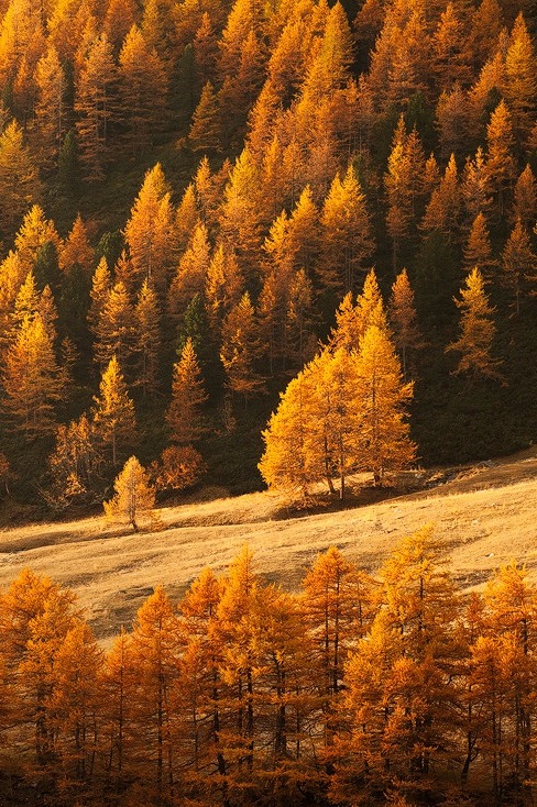 r2&ndash;d2:  La Vallèe D'or by (Valter Joannas) 