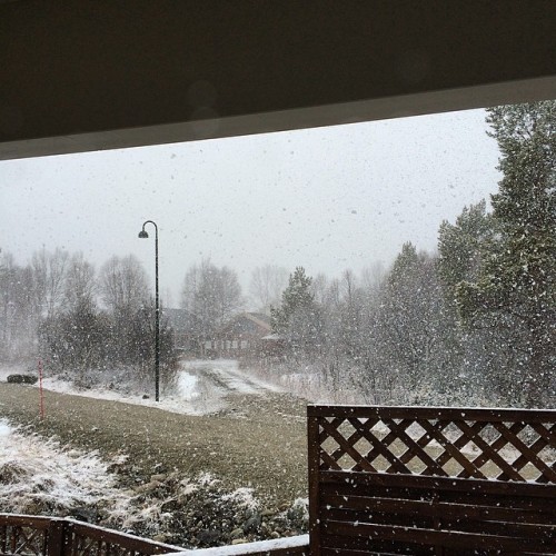 Neida så…#spring…yeah right. #roros #nofun (ved Stenbråttveien 29A)