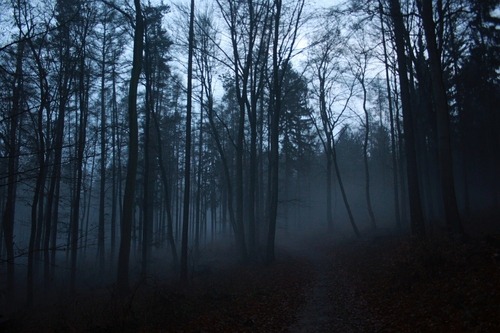 felicissimus:Lost© 2015 Bartosz Sienkowski All Rights Reserved 