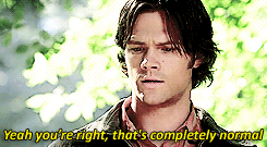 winchesterflow:Trances I get, but fairy tale trances? That’s bizarre even for us.
