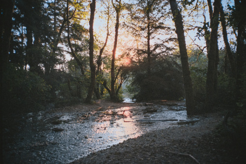 peaceful-moon: untrustyou: Cody Cobb ☮ nature aฏ๎๎๎๎๎๎๎๎๎๎๎๎๎๎๎๎๎๎๎๎๎๎d good vibes ☾