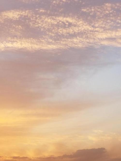 cloudypastelskies: June 16th, 2018 - Shanghai, China - Clear