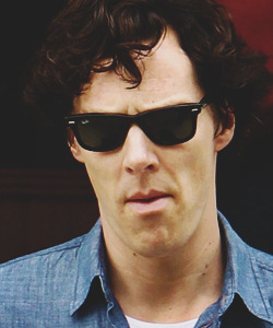 fuckingyeahbenedictcumberbatch: THE CUMBERBATCH COLLECTION - shadesbatch