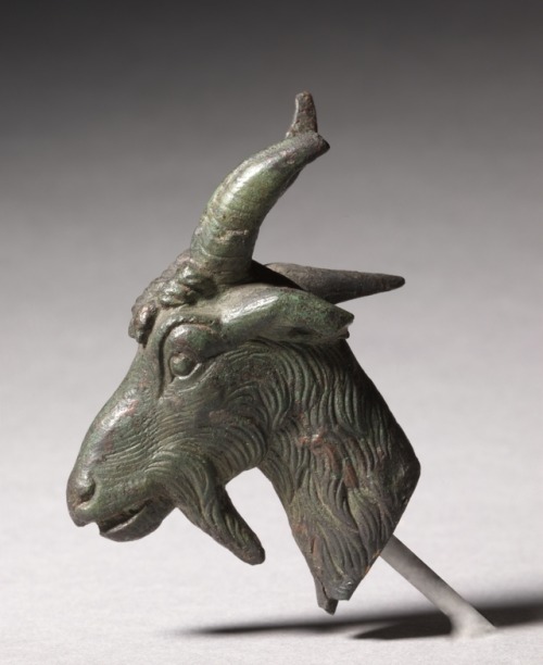 theancientwayoflife:~ Head of a Goat.Date: 300-100 B.C.Place of origin: GreecePeriod: Hellenistic pe