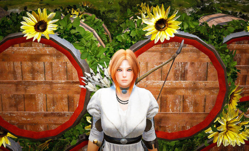 Sunflowers[Black Desert Online]