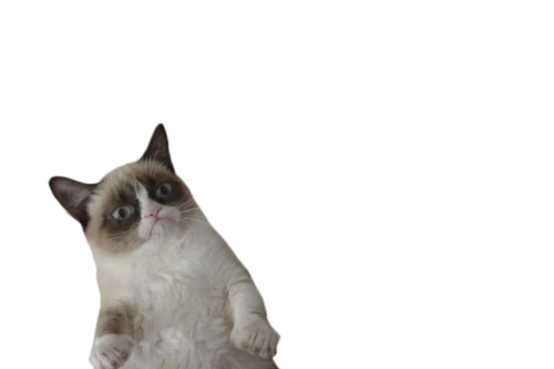 crystalcats:  me judgin u 