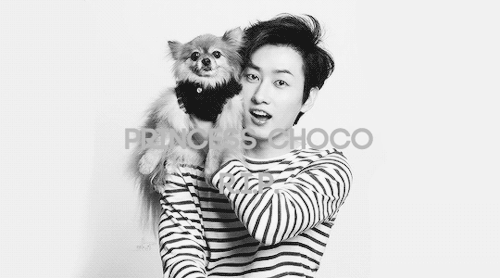Rest In Peace Princess Choco. Please Watch Over Your Oppa From Heaven. #PrayForChoco 