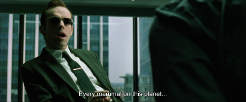 celluloidtoharddrives:  Agent Smith (Hugo Weaving) The Matrix (1999) Written and Directed by Andy and Lana Wachowski  Actually, every mammal - every animal in fact - does that, given the chance. That’s one reason why species go extinct when a new