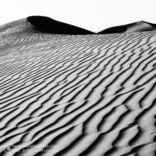 Sahara Desert, Morocco by ReneHuemer