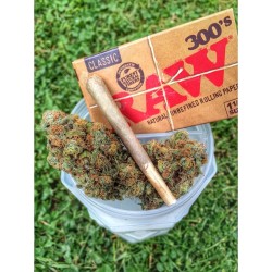 weedporndaily:  by @natures.finest420pt2