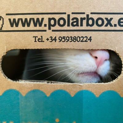 kilgorezouzou:Zouzou in a box
