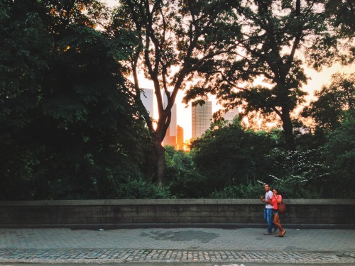 photomelissa:This week’s iPhoneography: sunset peeking through Central Park.beautiful.