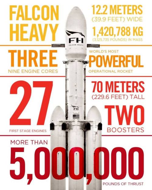 Porn americaninfographic:  Falcon Heavy photos