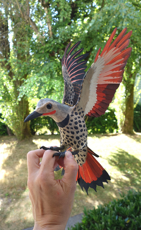 2017 - I made a paper Northern Flicker :)