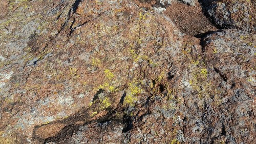 tara-tea-time:Hiking at Wichita Mountains in Oklahoma! Pictures don’t do it justice. There were buff