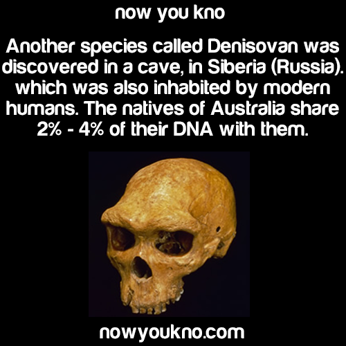 nowyoukno:  (Sources: 1, 2, 3, 4) for more facts follow NowYouKno 