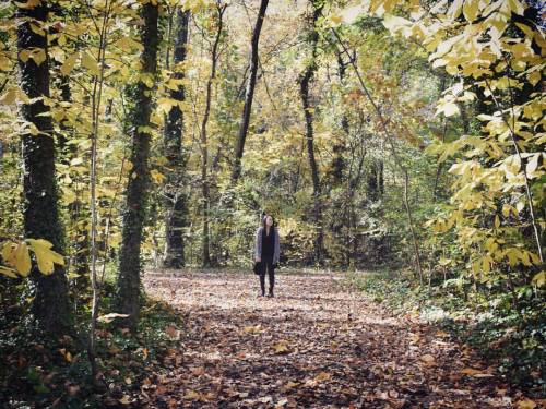 Trails at Belle Isle #rva #exploreeverything