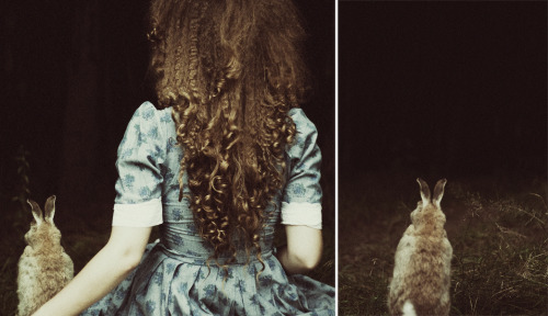 groteleur:  Alice in Wonderland 