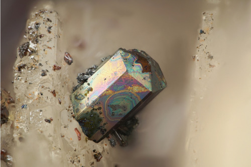 underthescopemineral:Argentopyrite AgFe2S3Locality:Sauberg Mine, Ehrenfriedersdorf, Erzgebirge, Saxo