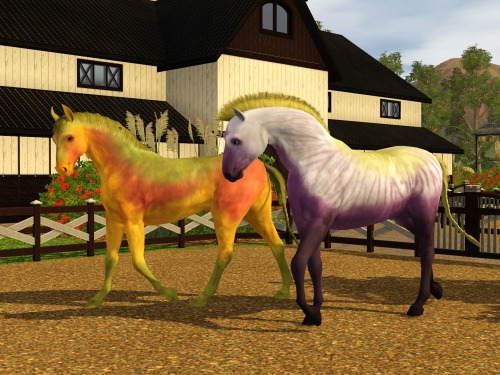New ponies!  Blumex (left) and Black Tie Affair (right).  Blumex is inspired by a Parrot T