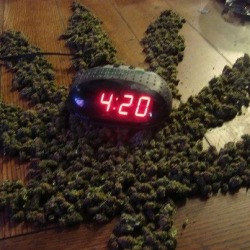 toweliesfunkytown:  Follow us if you smoke!