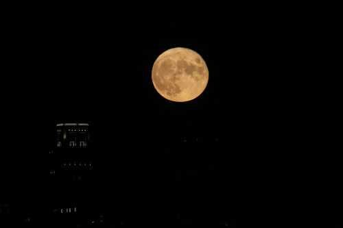 highways-are-liminal-spaces: The Sturgeon Moon rises over Chicago