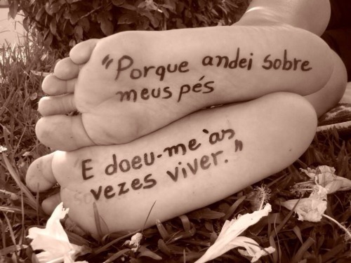o universo é público 