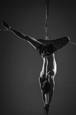 reraizure: // Root // Model: Felix Würkner; Photo: Joe Re Photography; Ropework as always by me, Reraizure 