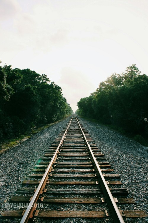 Railroad tracks. Seemingly endless.