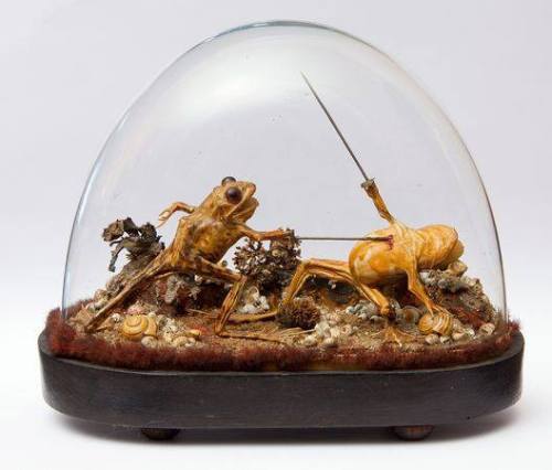 we-did-an-internet:arcaneimages: This taxidermy was found inside a late 19th-century French mansion which has been sealed up for more than 100 years. Via National Geographic.  Good to know people were just as fucking weird before the internet. 