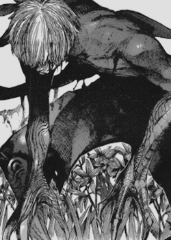 Tokyo Ghoul Re Chapter 145 Tumblr