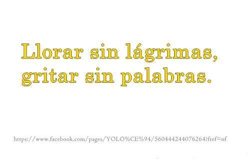 yo amo a 1D y Demi lovato